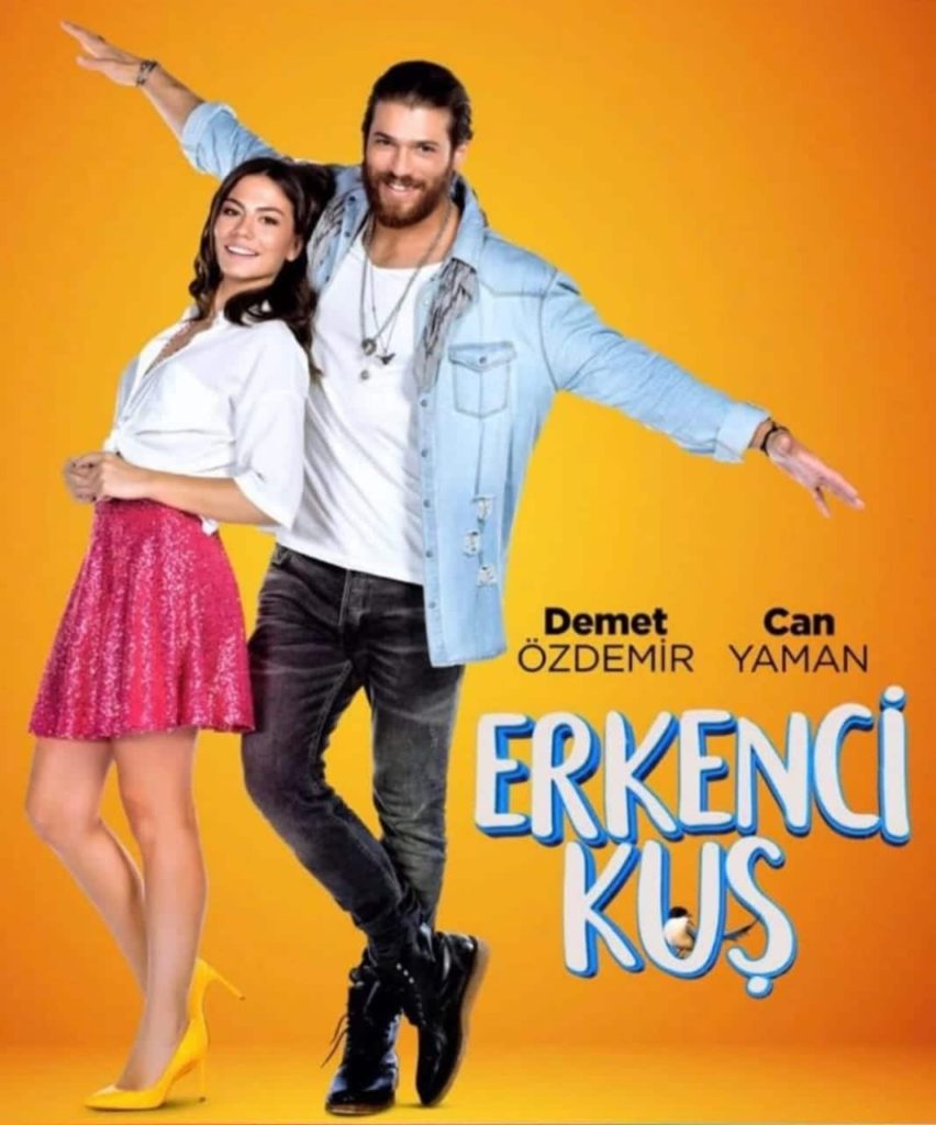 Demet Ozdemir Series